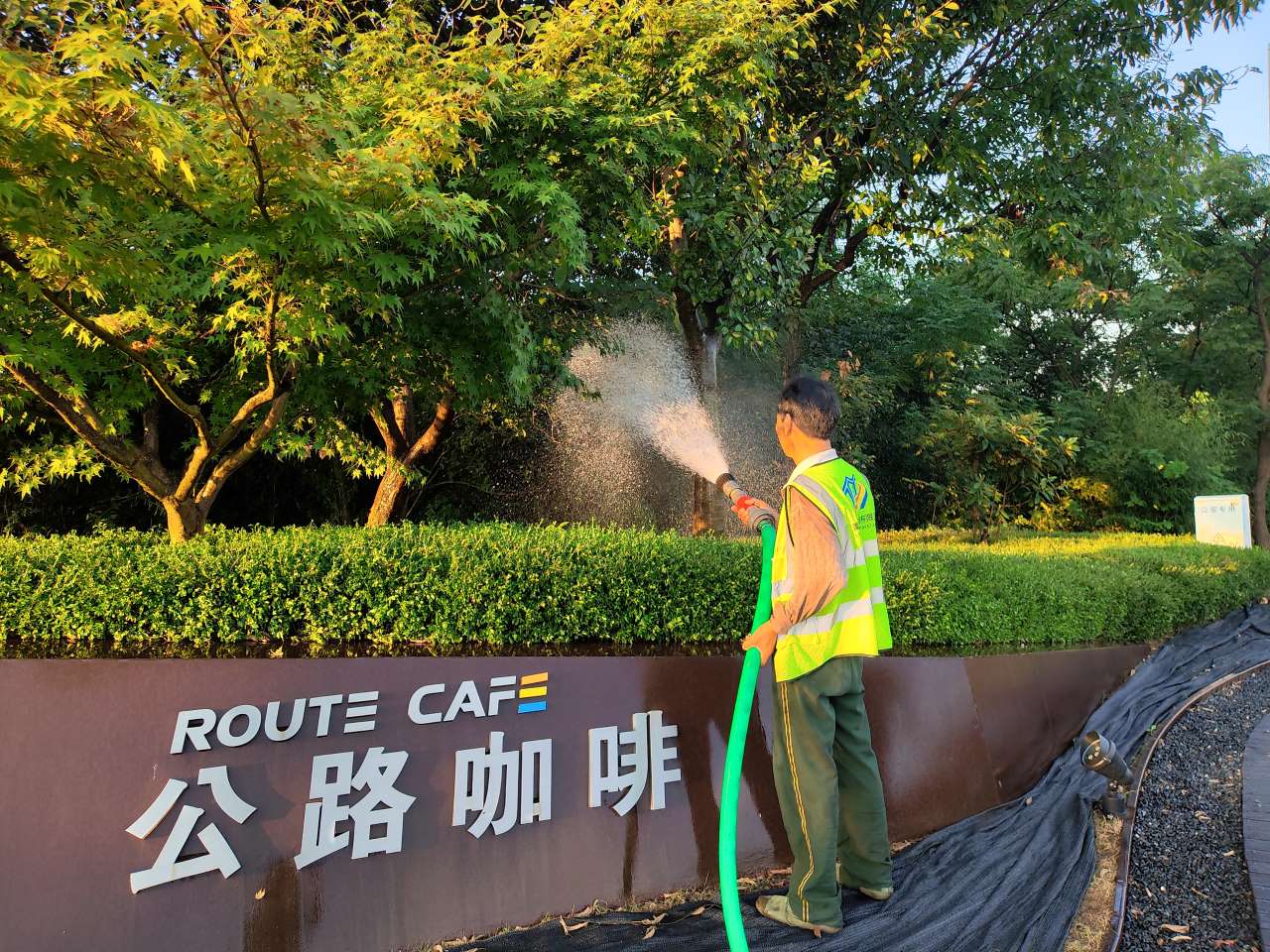 高温“烤”验下 溧阳通用文旅为溧阳1号公路花草树木“